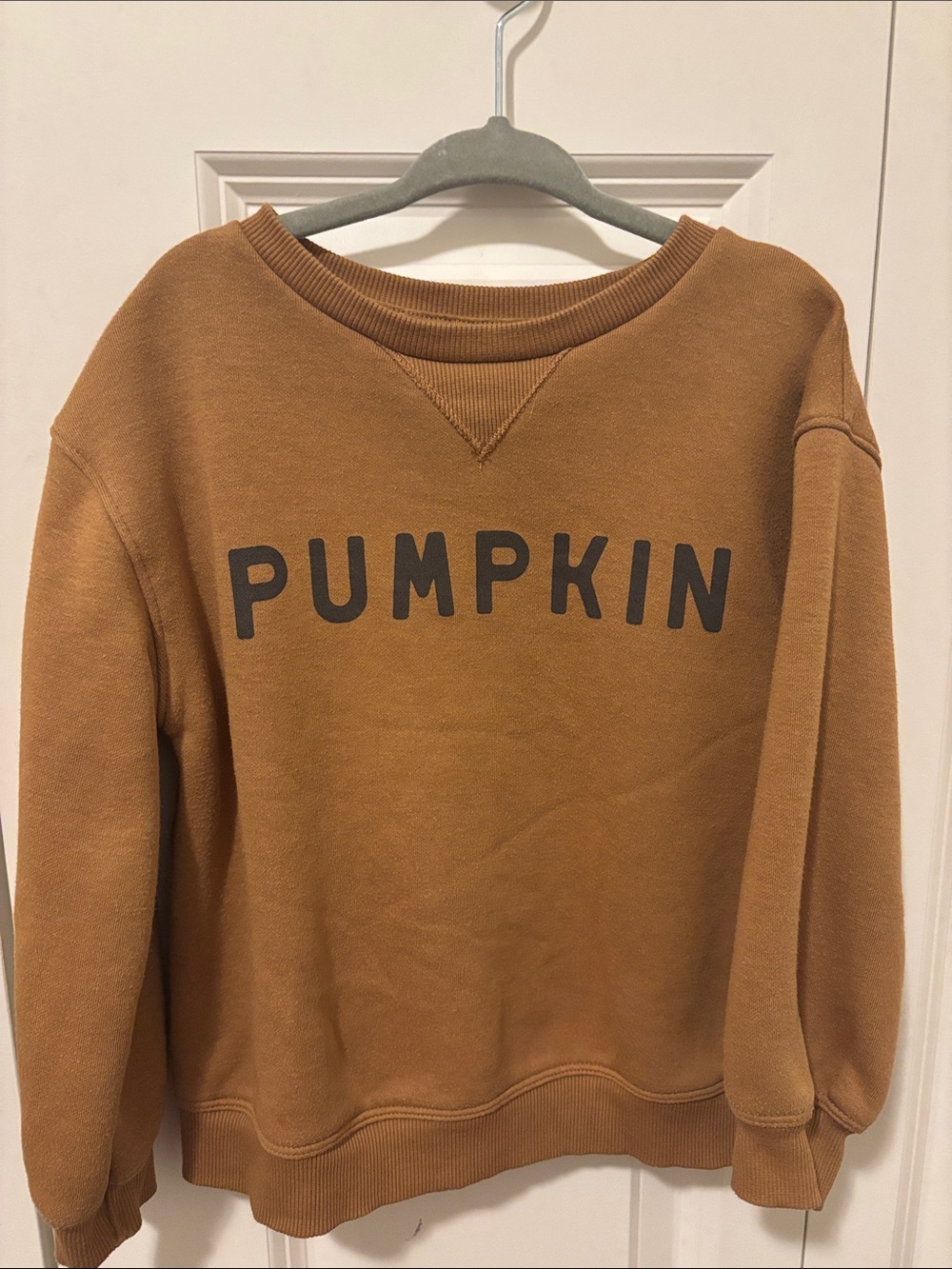 Pumpkin Kids Graphic Crewneck Sweatshirt